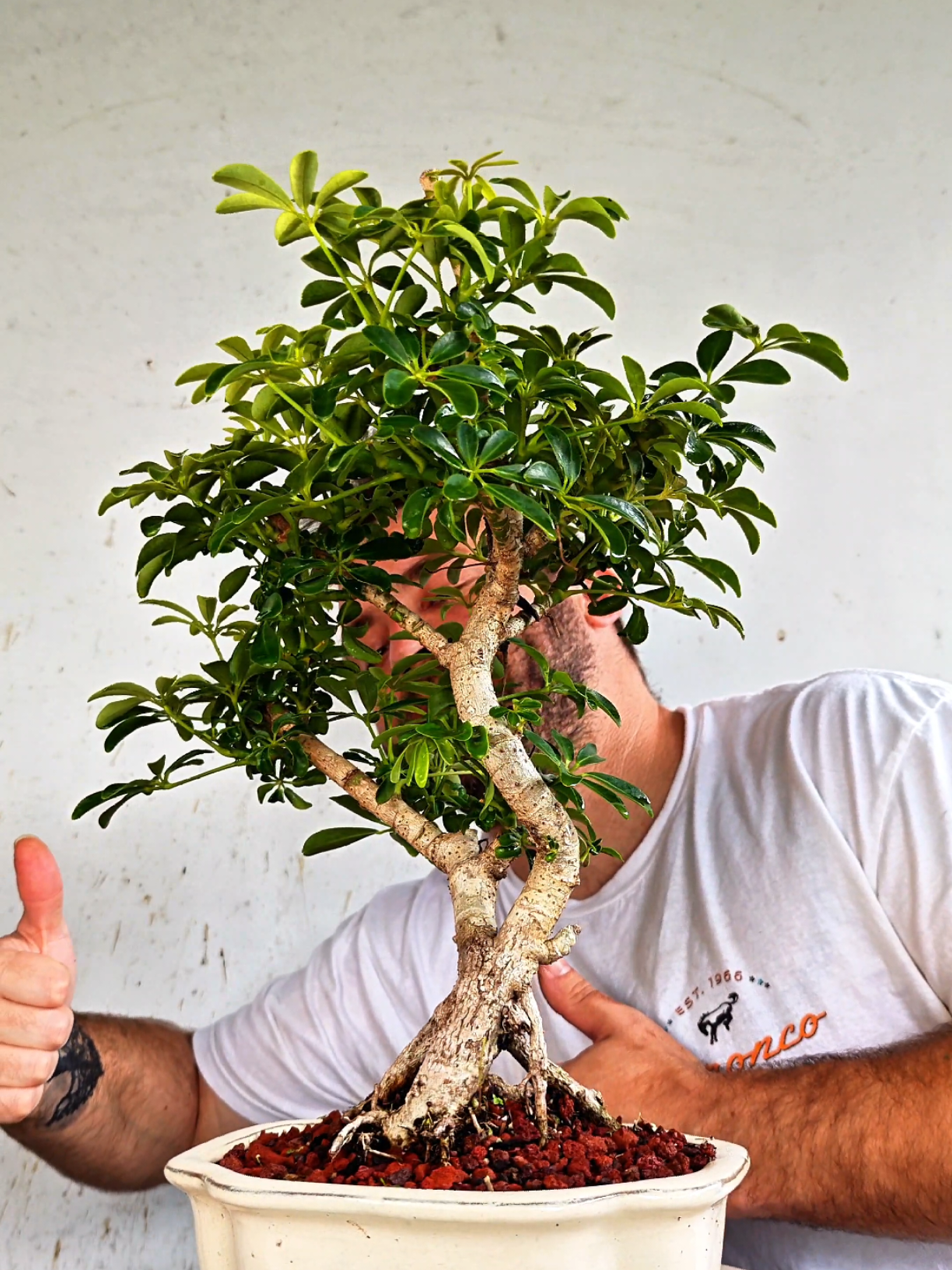 @Bryan Loves Bonsai