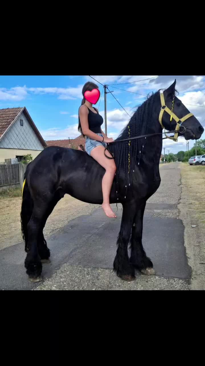 @𝓐𝓷𝓷𝓪👑
