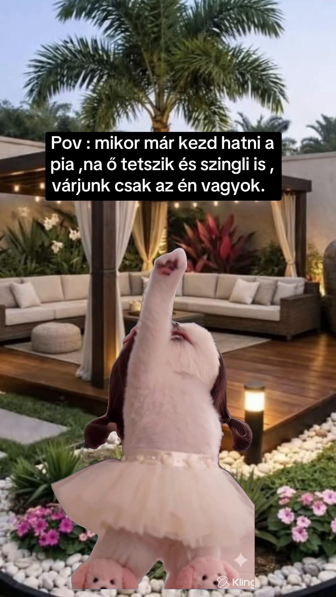 @Nem harap 🅰️ néni 🪷