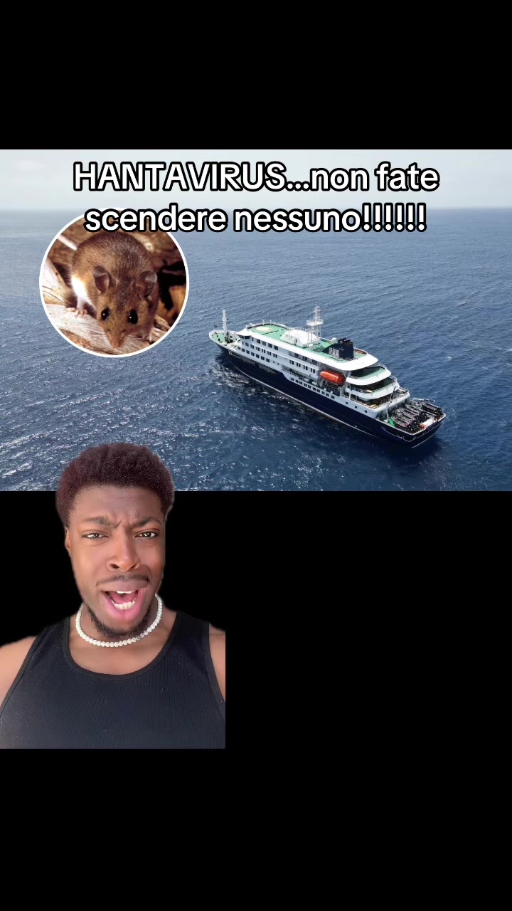 @realista steven