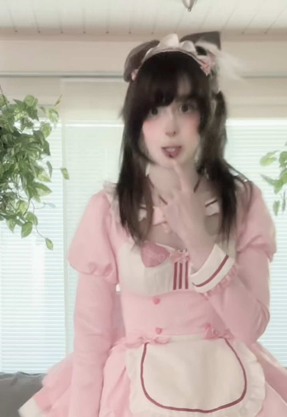 @kapinakissa
