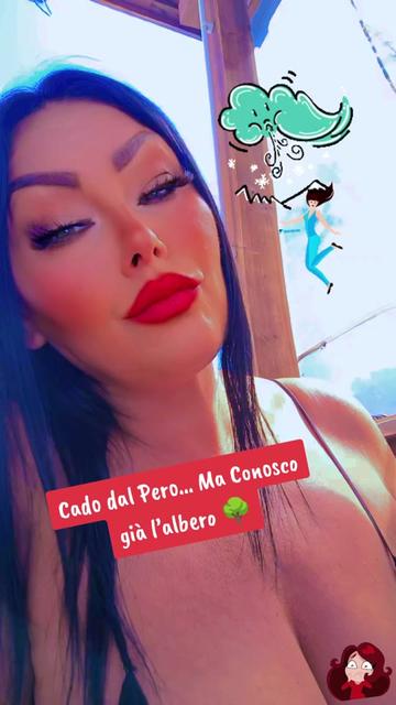 @🌺Colorata Positiva🌺