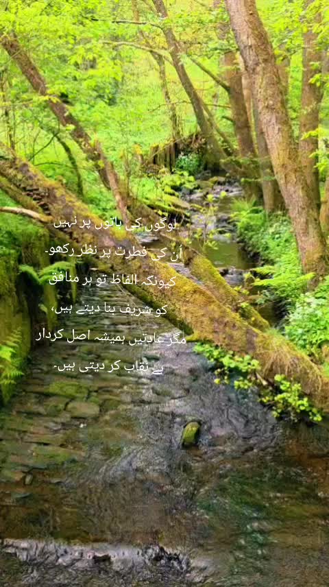 @BUSHRA KHAN