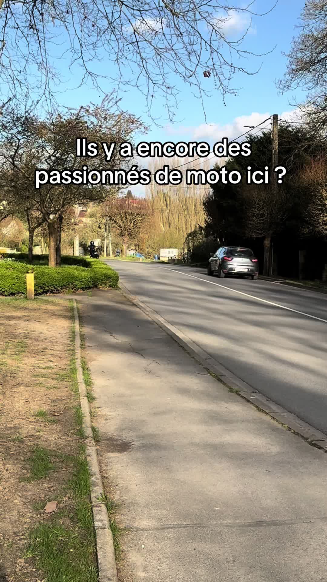 @LE LOUP