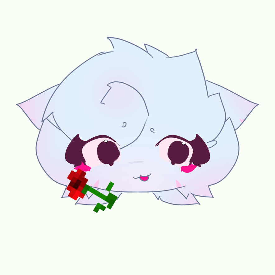 @miyyuuu