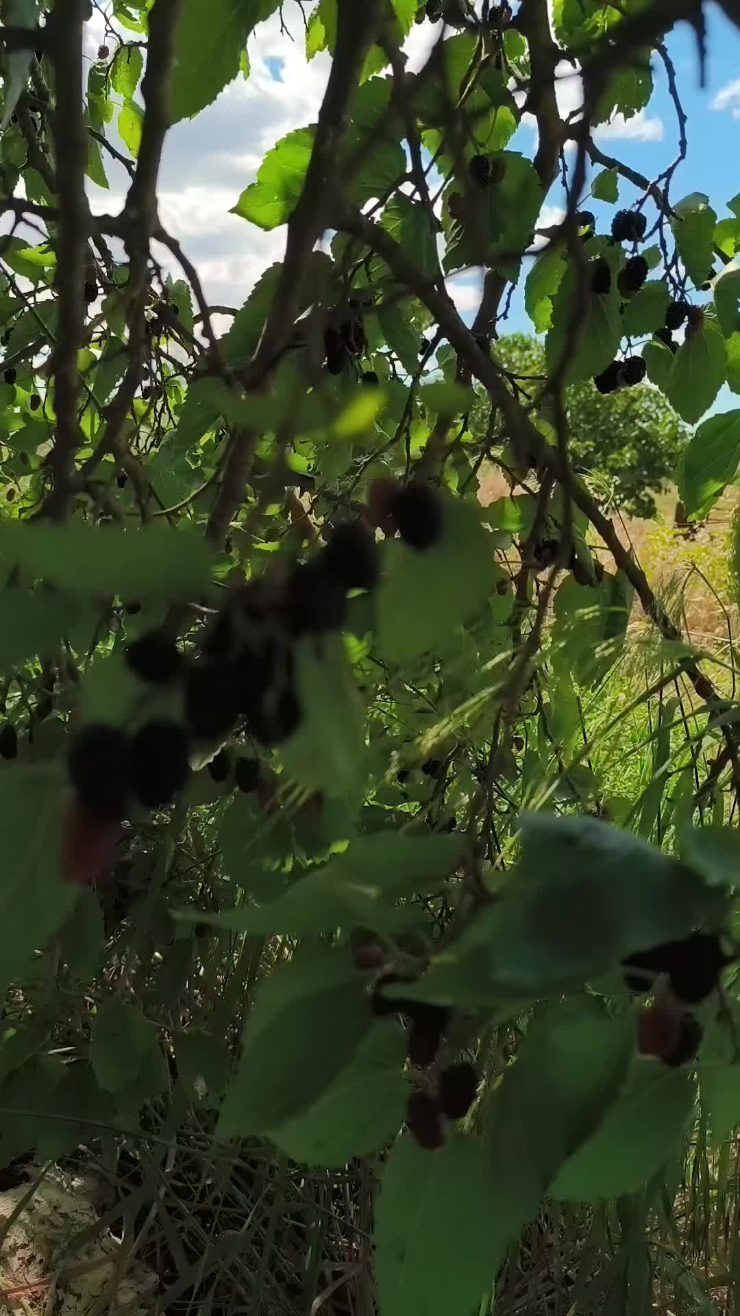 @Андрюха Чайкін