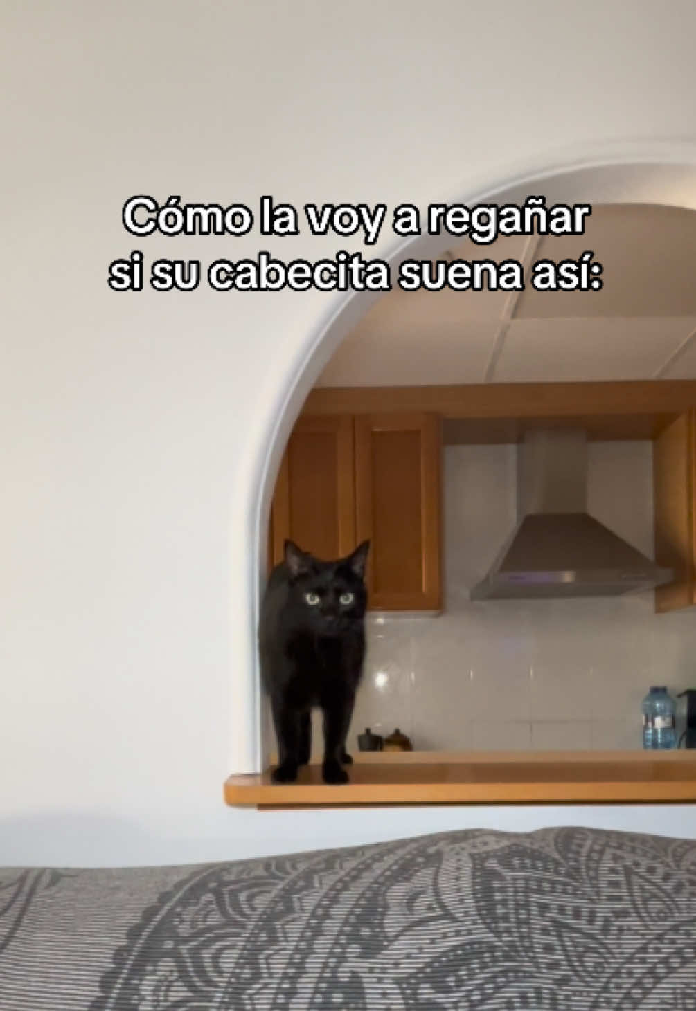 @BlackCatsMatter