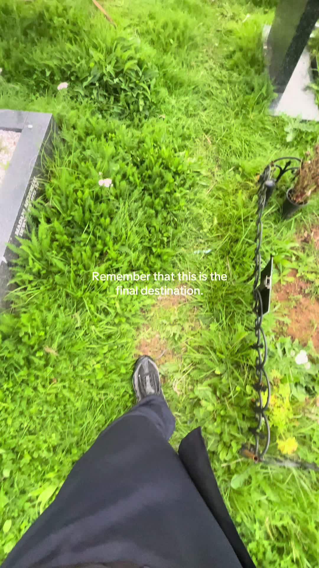 @𝔐𝔲𝔥𝔦𝔟𝔟&trade;