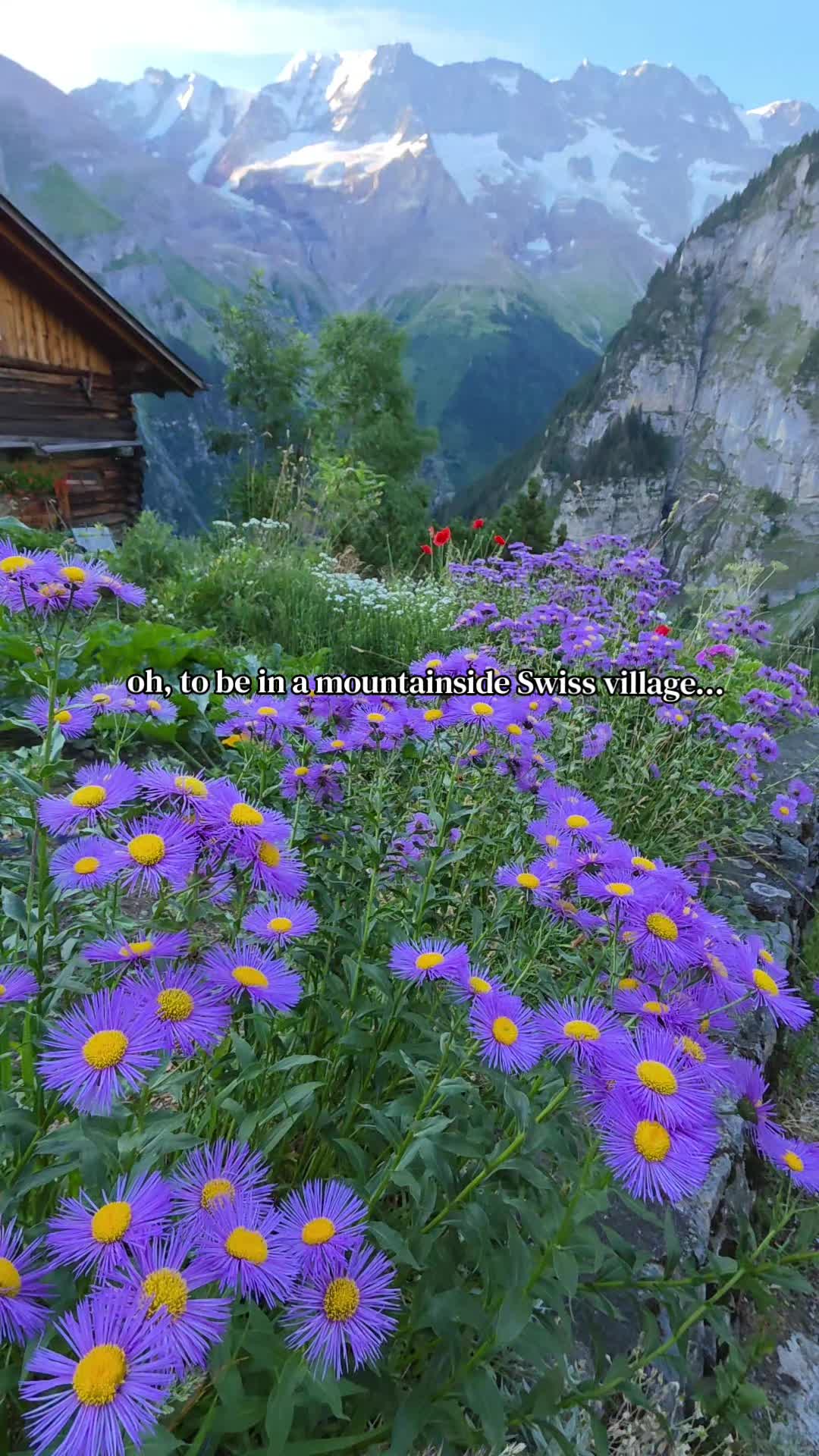 @LiberalOnTravel