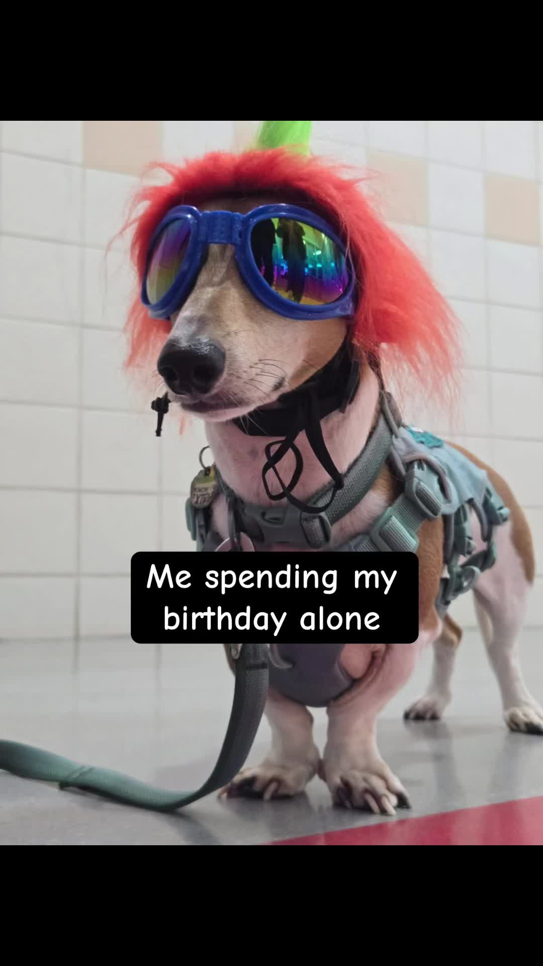 @@ballparkdoxies