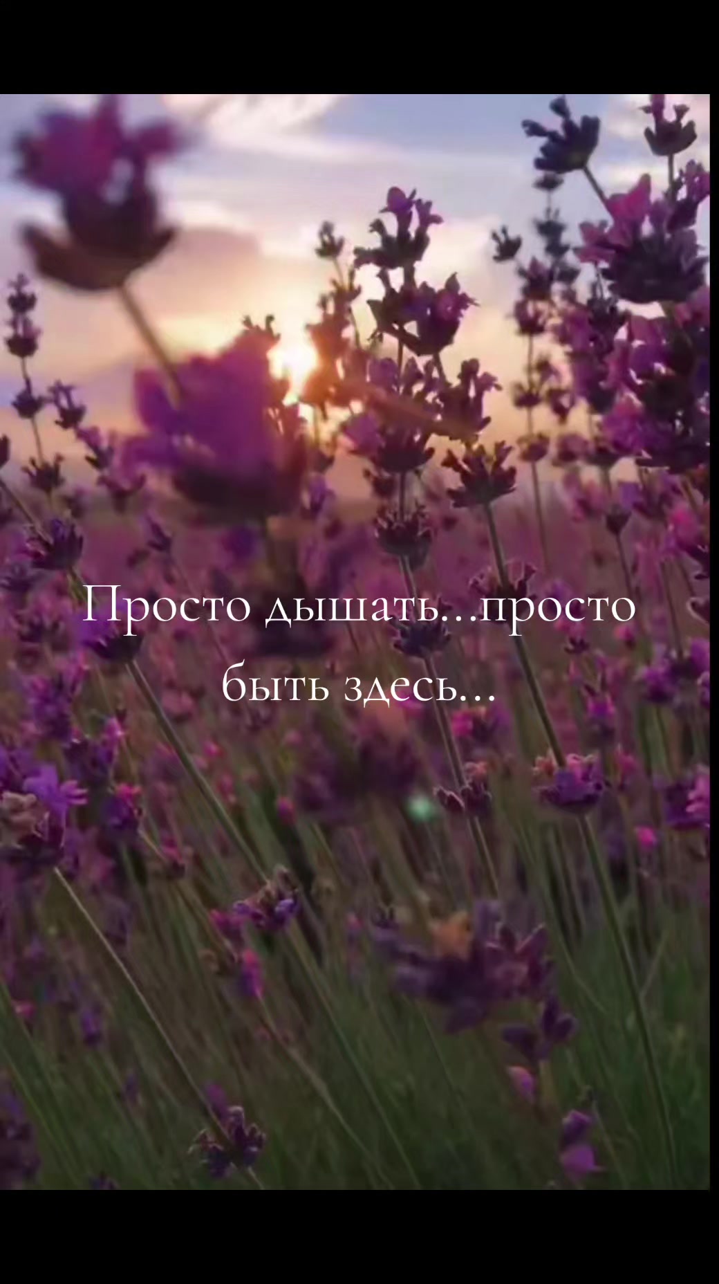 @Prosto