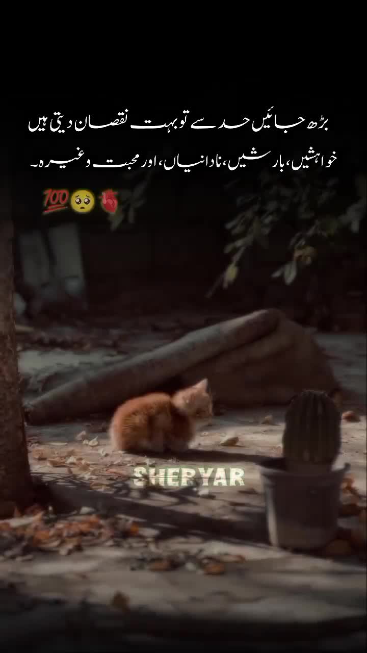 @sheryar