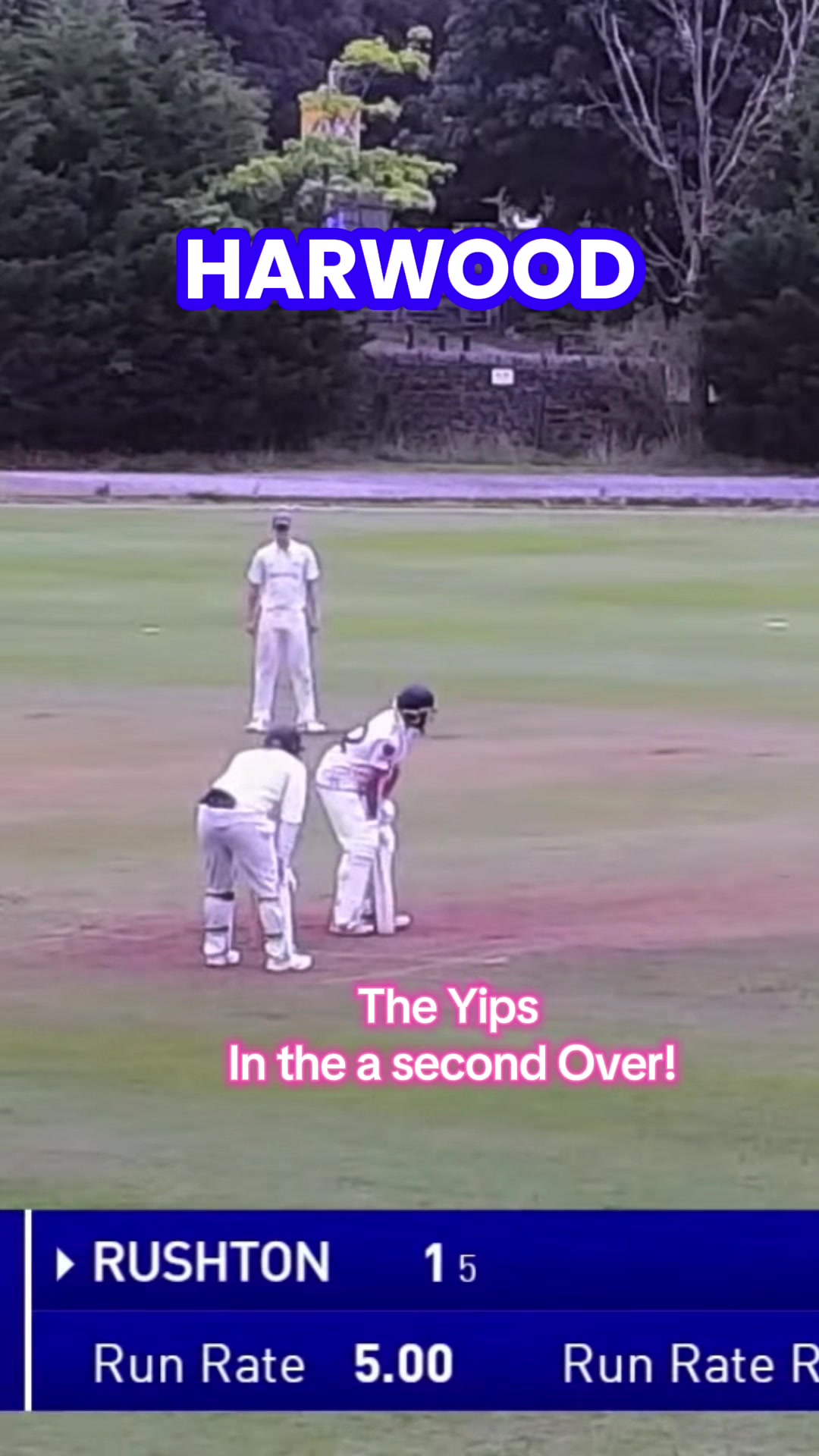 @MySide of Cricket