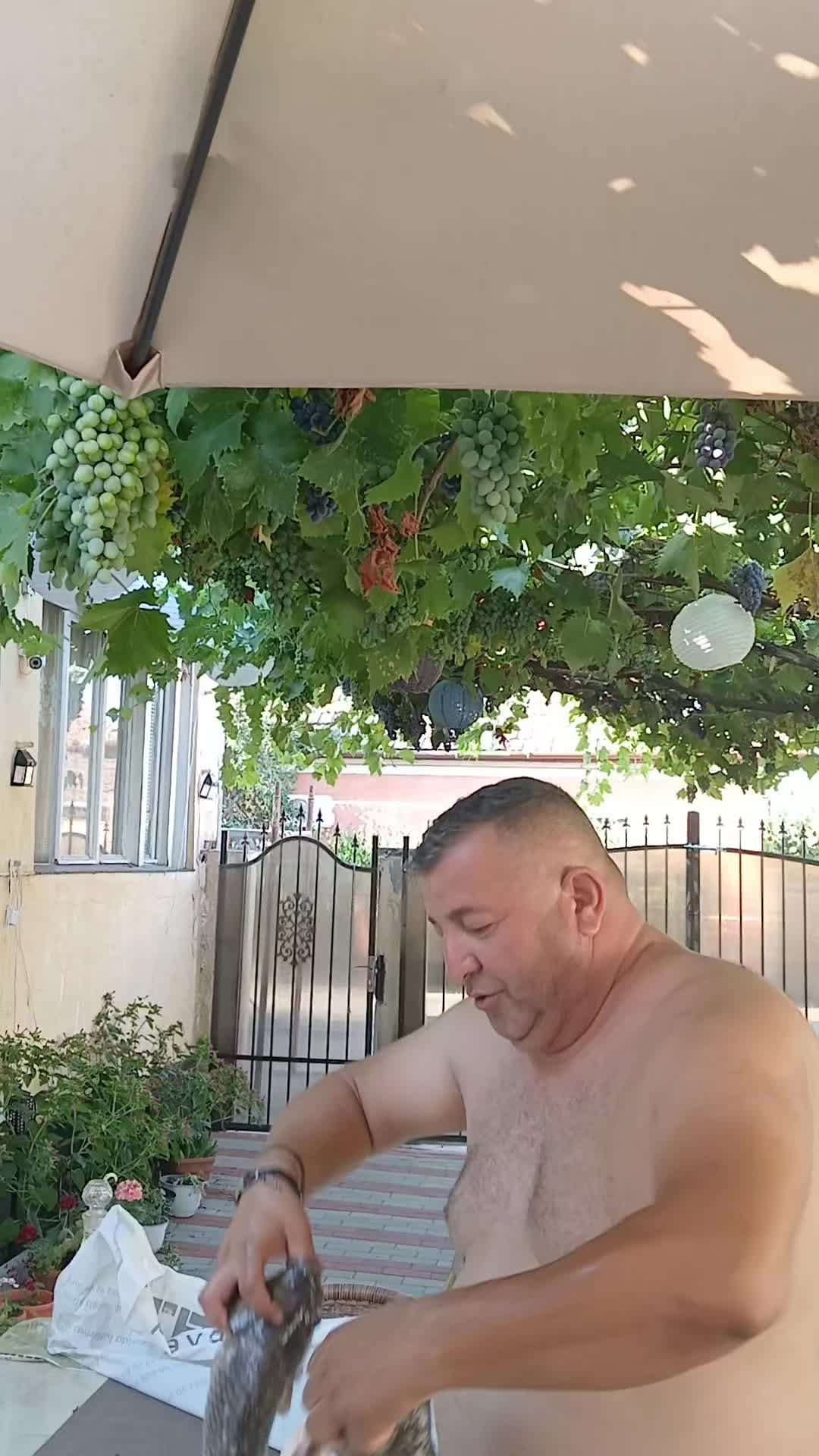 @🚍Ștefan ✅️