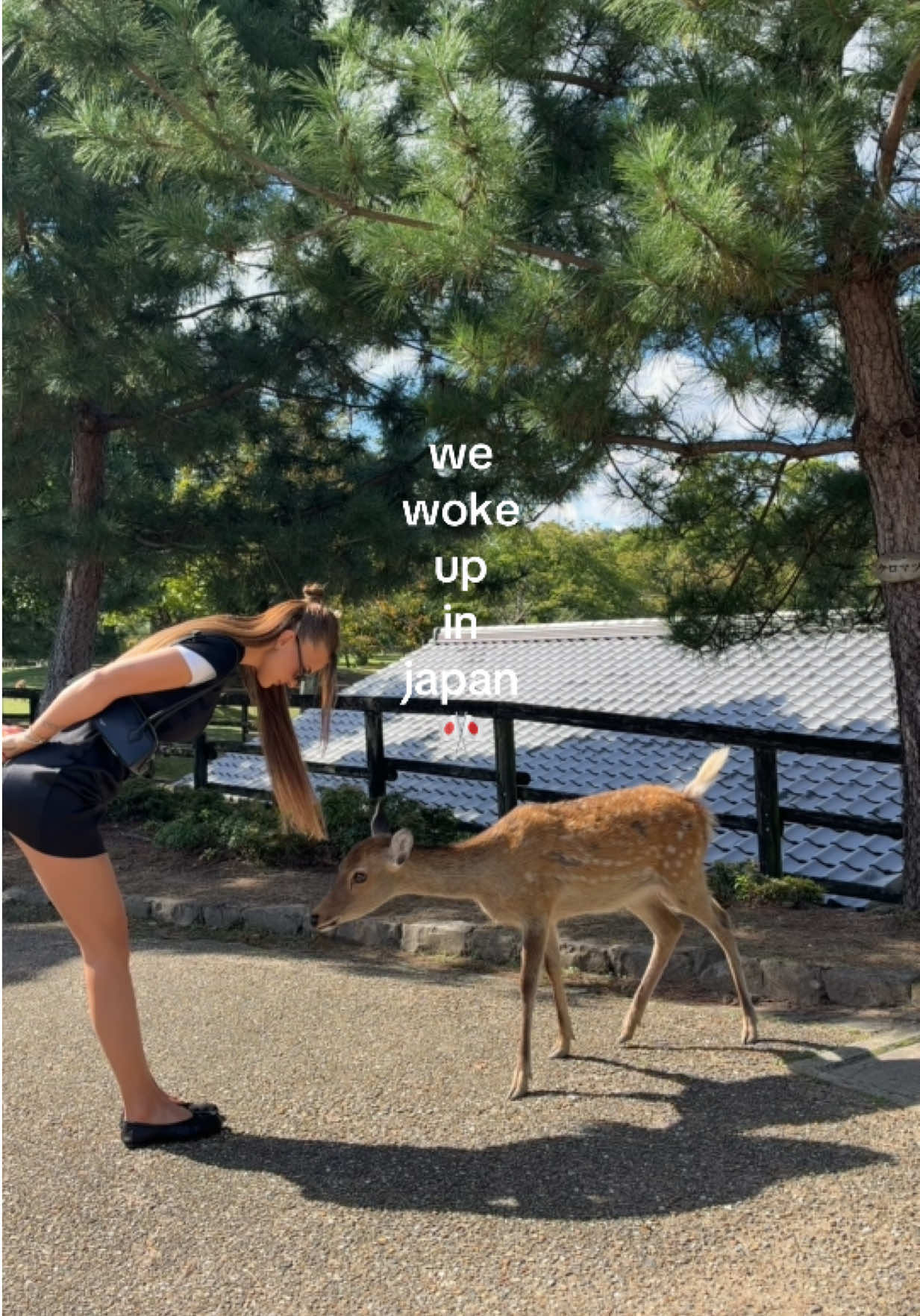 @Teri Pallova