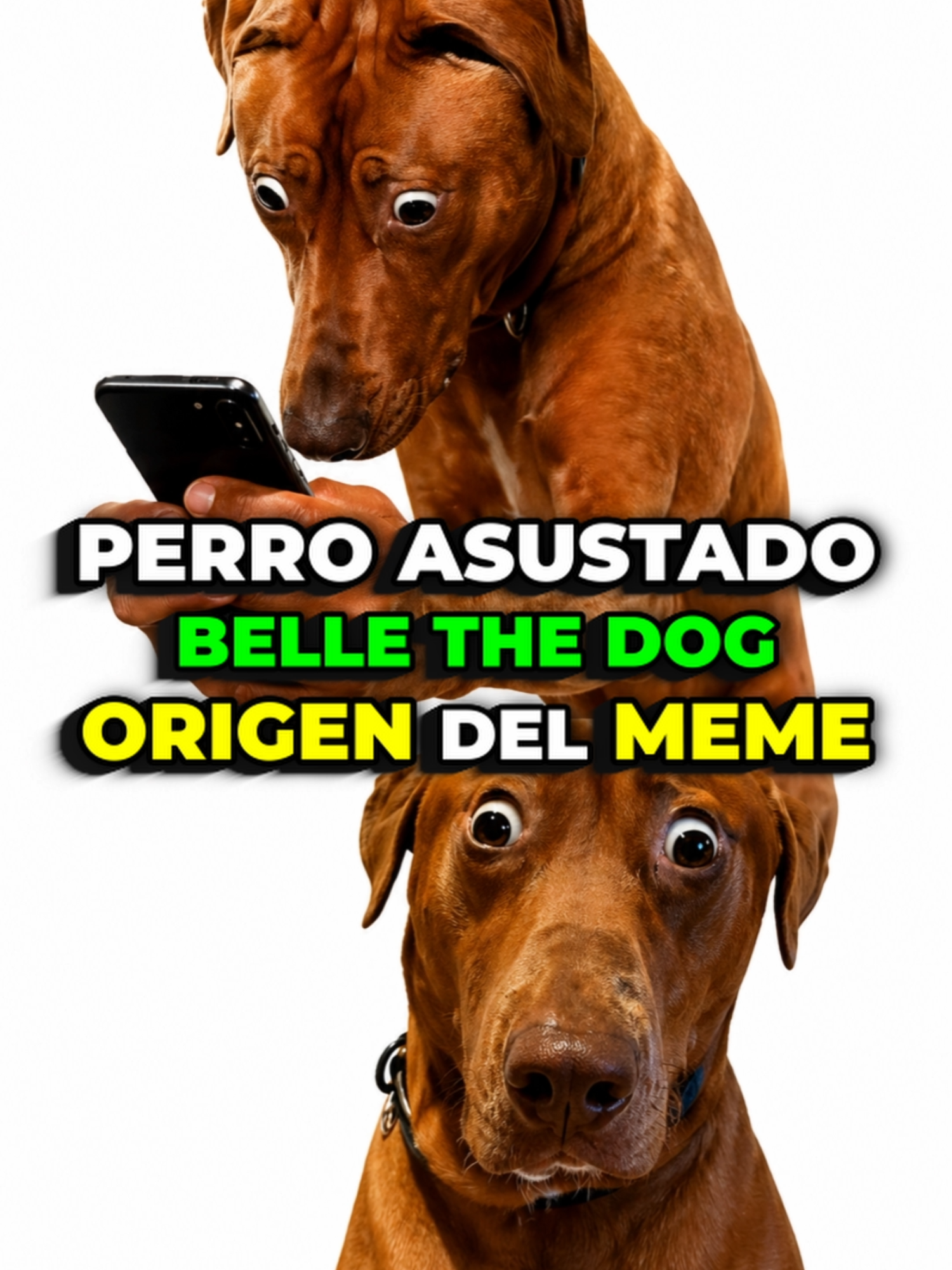 @aprendiendoDDtodo