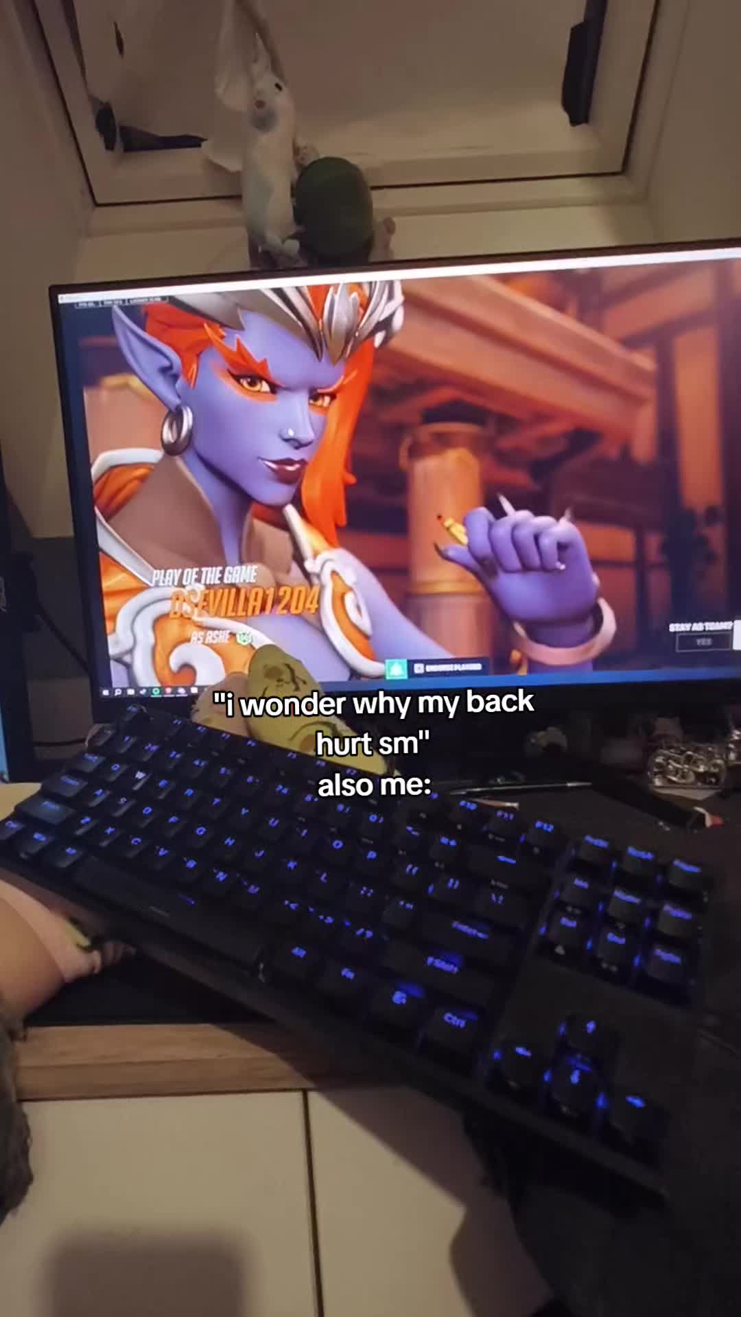@enfal | CEO of moira simps