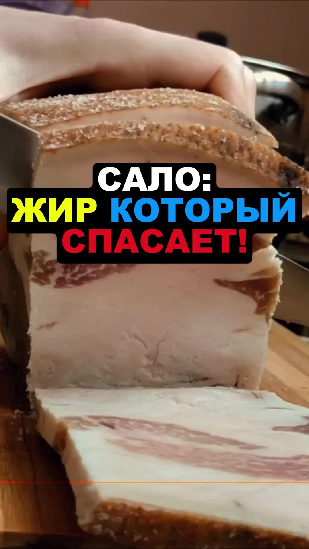 @FoodFackt