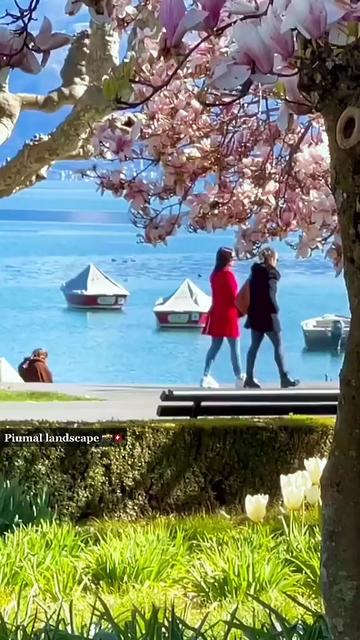 @🇨🇭𝓟𝓲𝓾𝓶𝓪𝓵 ✍️