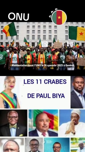 @🇨🇲237 Développe Innove🇨🇲