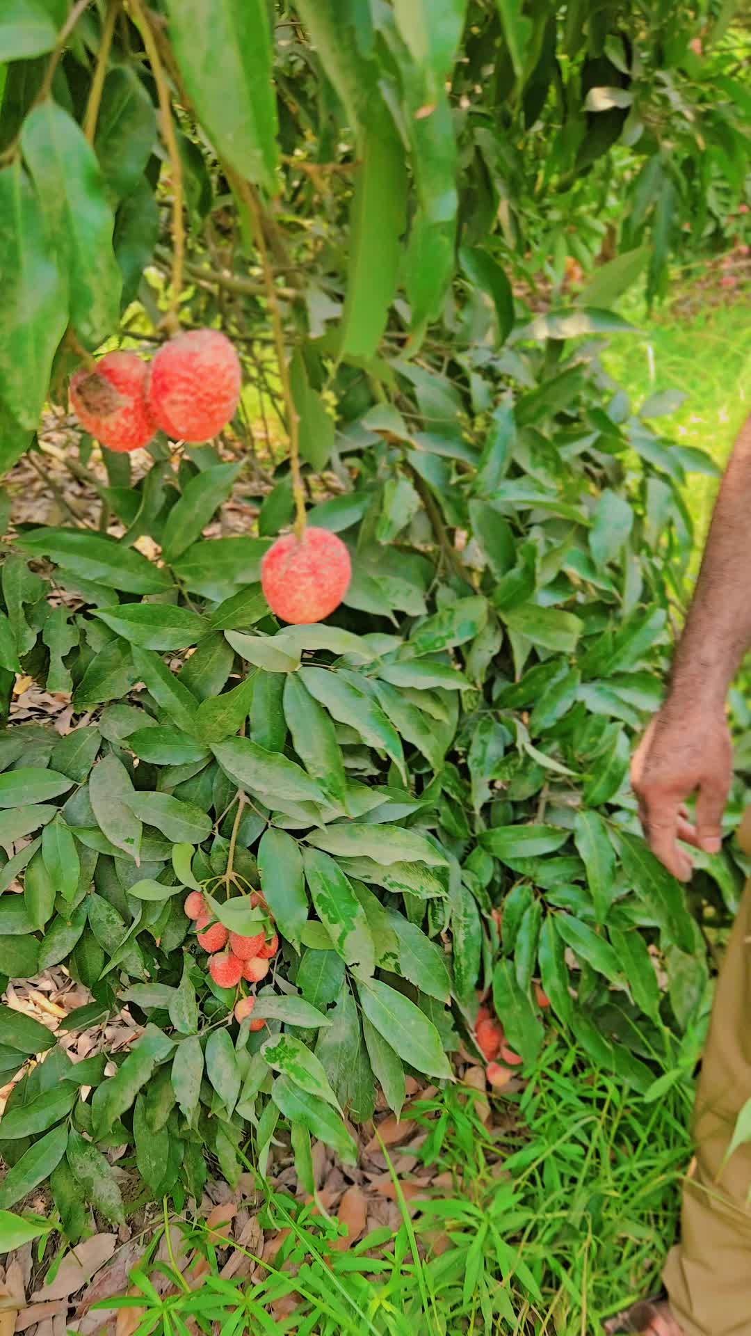 @𝗣𝗿𝗼𝗳𝗲𝘀𝘀𝗼𝗿