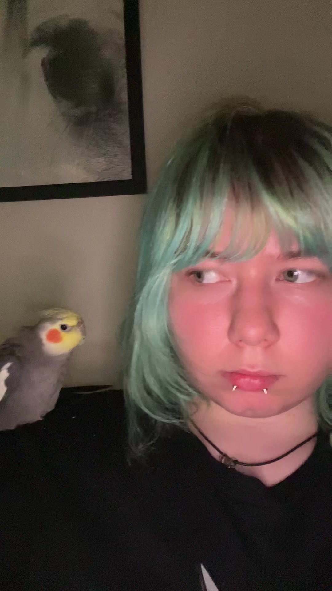 @Lain⭑.ᐟ 🪙🧪