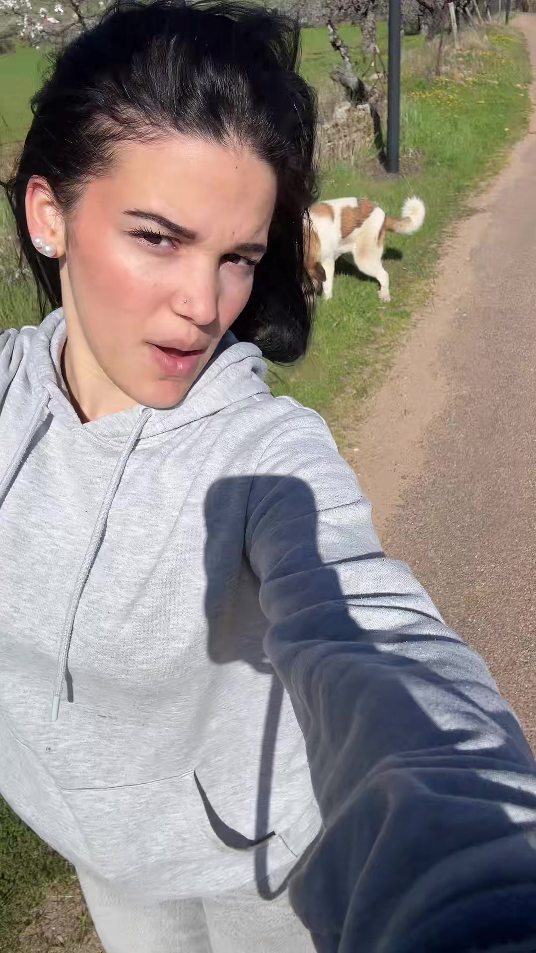 @brisleyarenas