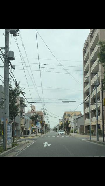 @達磨寅次郎