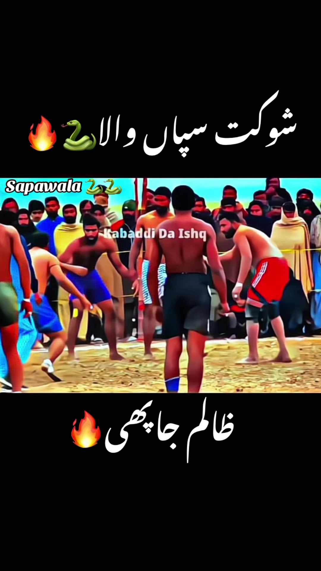 @Shokat sapa wala 🐍🐍
