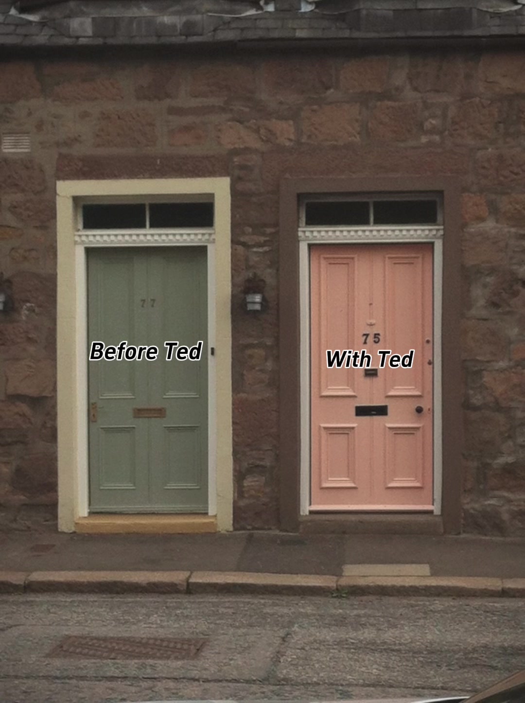 @Ted the ragdoll cat 🐾