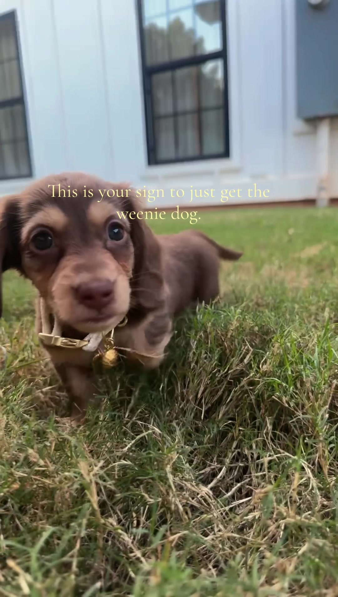 @🎀 𝔼𝕝 🎀