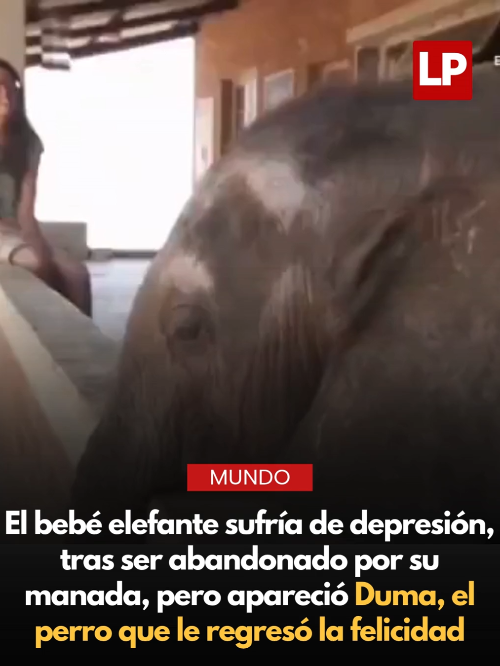 @diariolaprensa