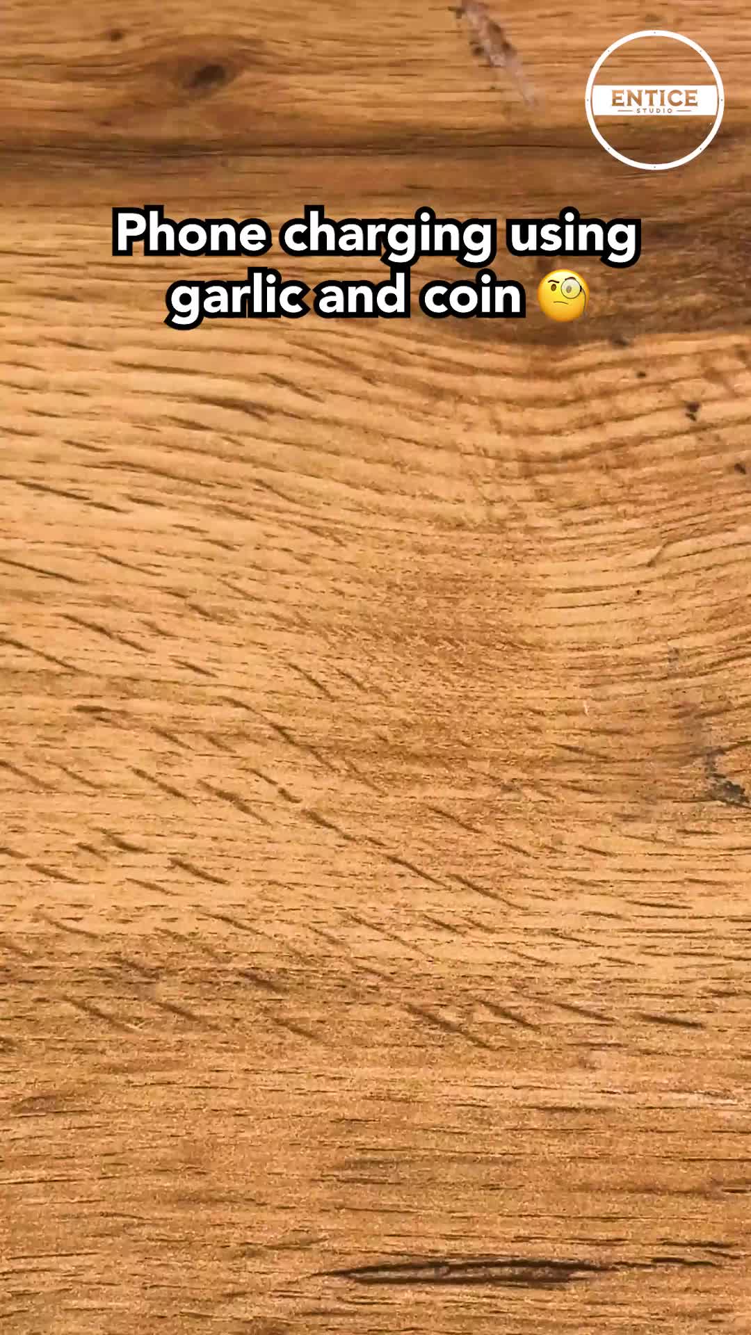 @theenticestudio