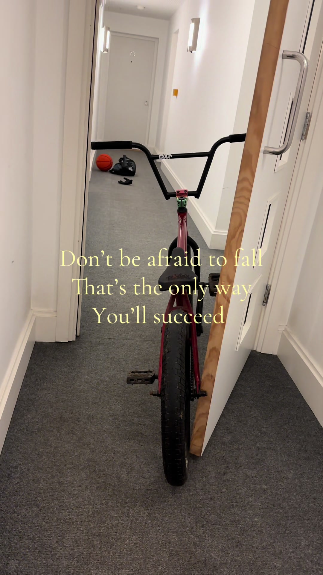 @Pleb on one wheel