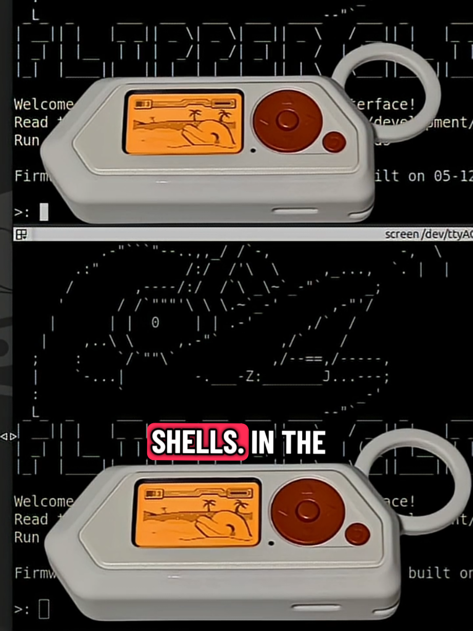 @Hacking Tutorial Daily