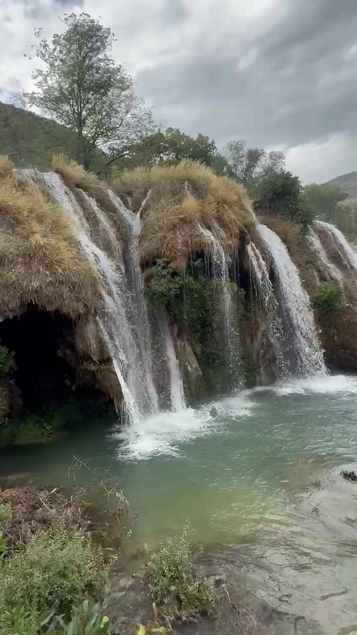 @Shkodra