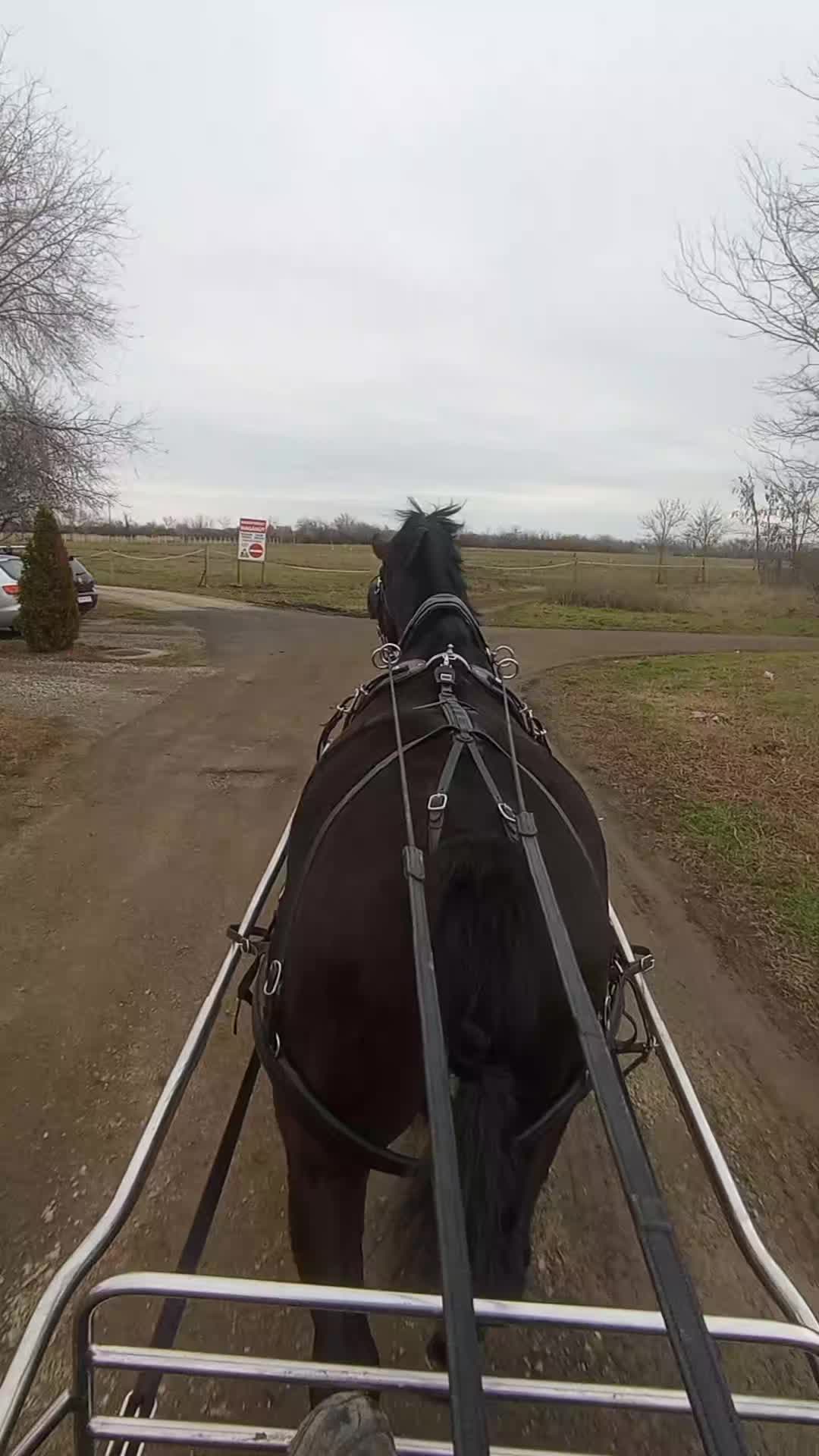 @G&aacute;bor