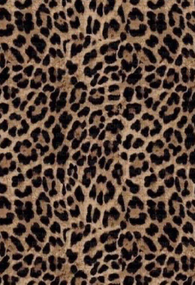 @💗࡛ an̄iya̱h⊹ 🐆