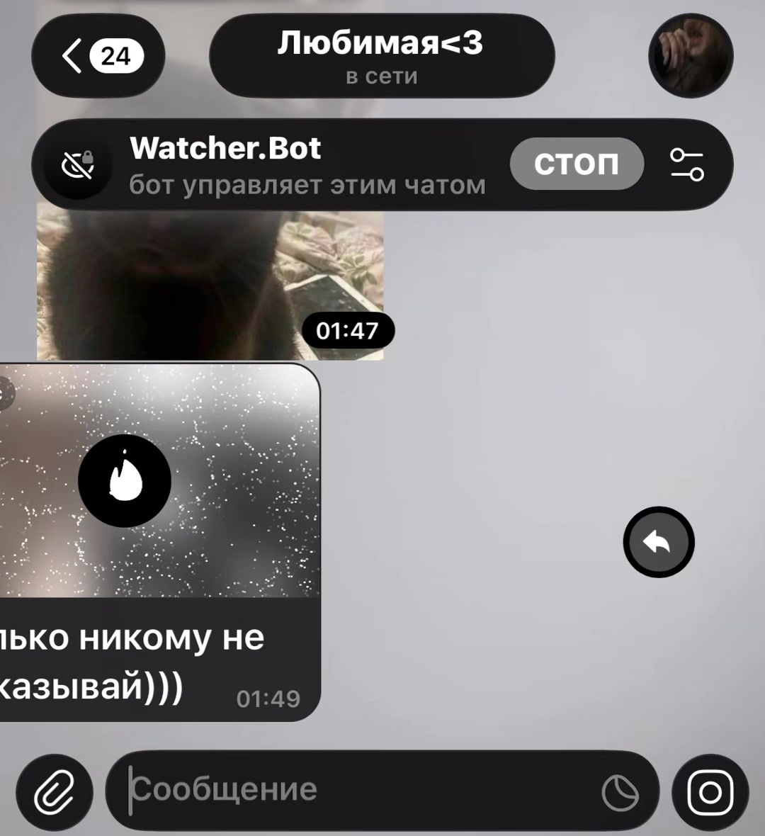 @Watcher.Bot