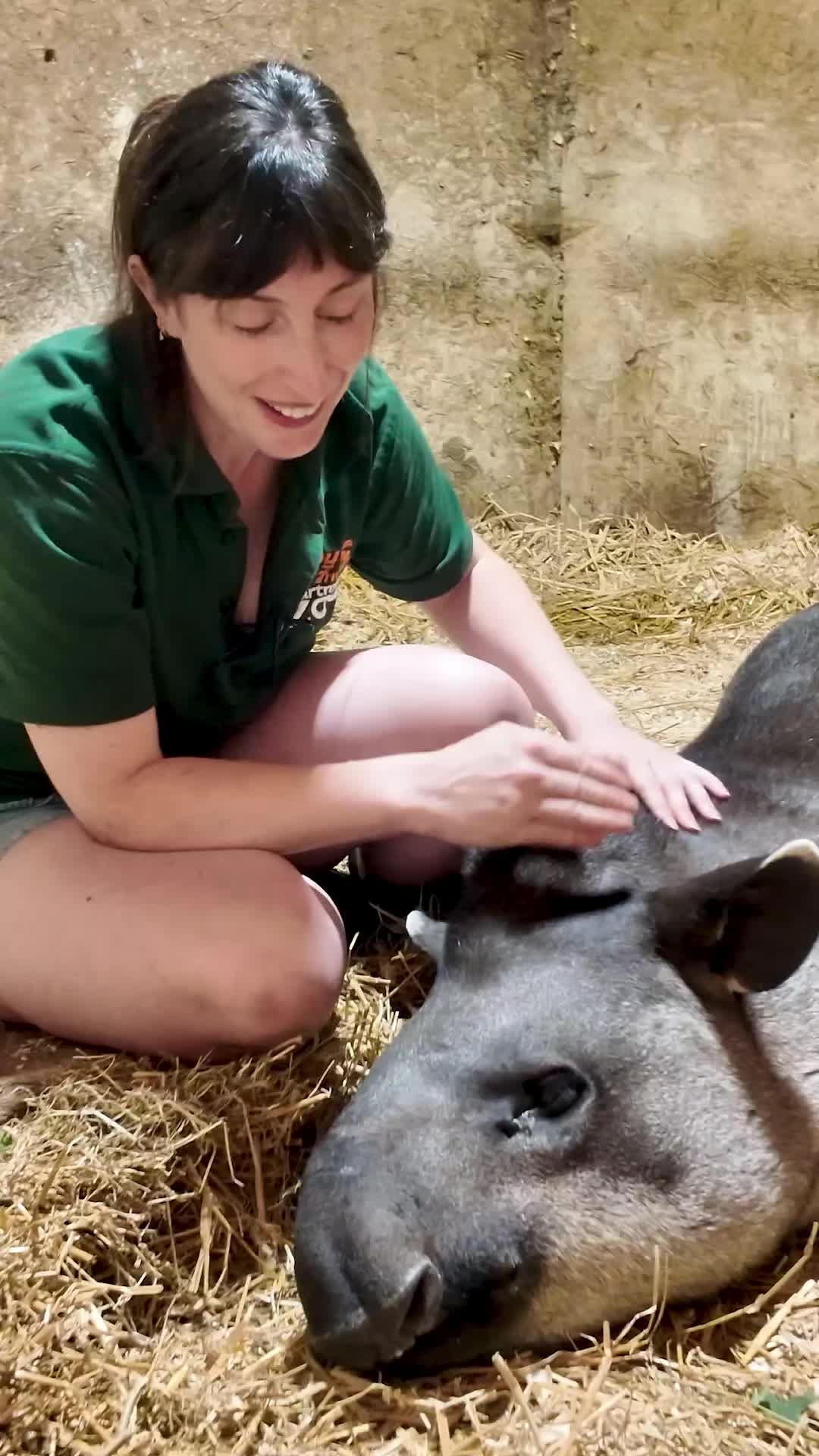 @Dartmoor Zoological Society