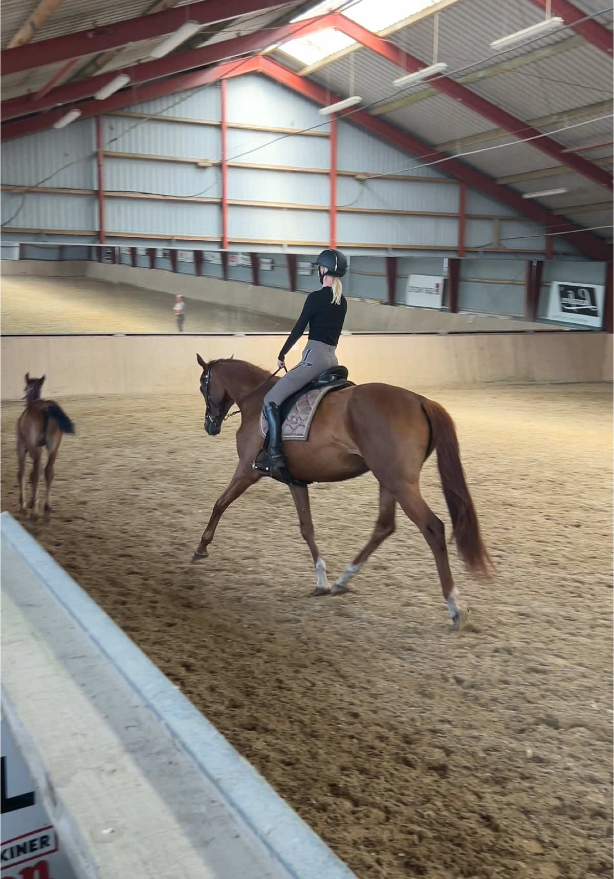 @rask_horses