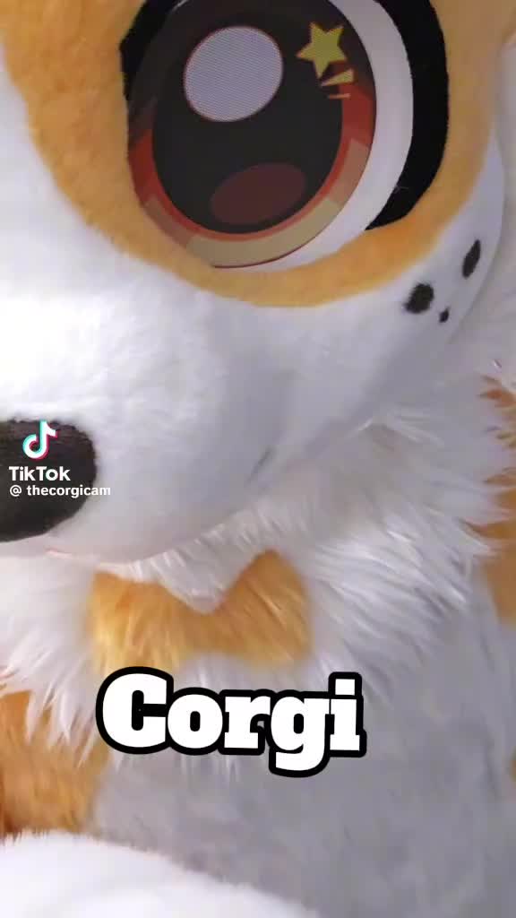 @Wolfeather