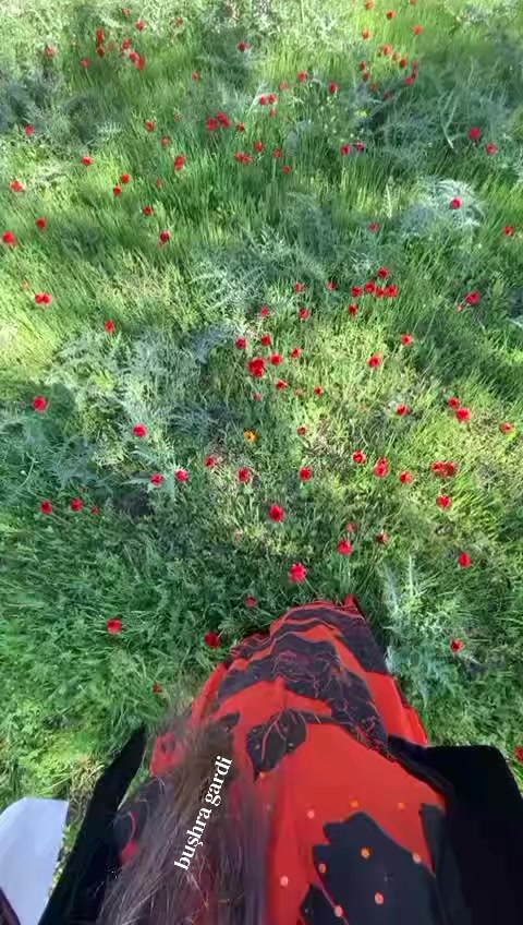 @buşhra.gardii🦋