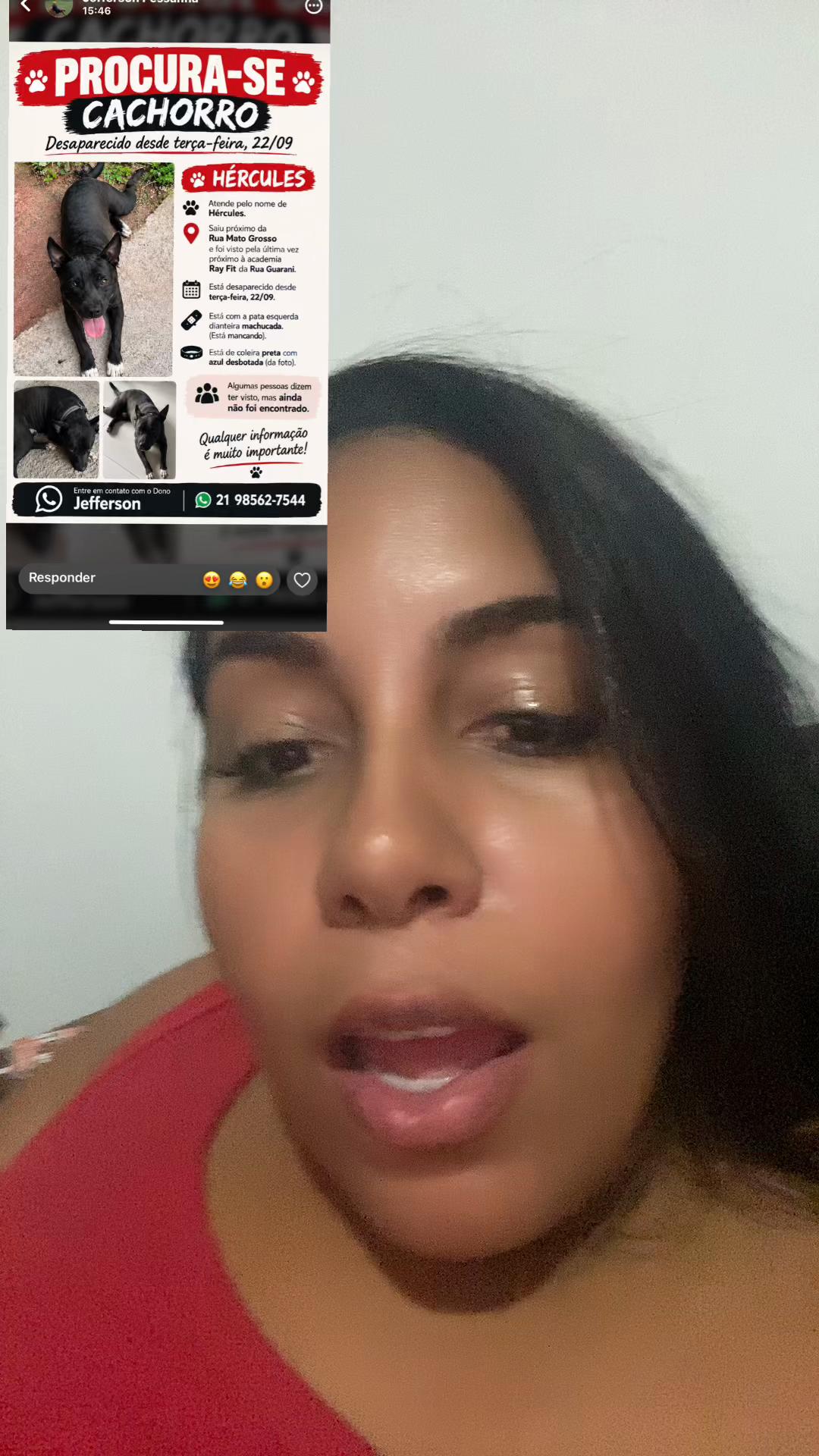 @Pamela Dias
