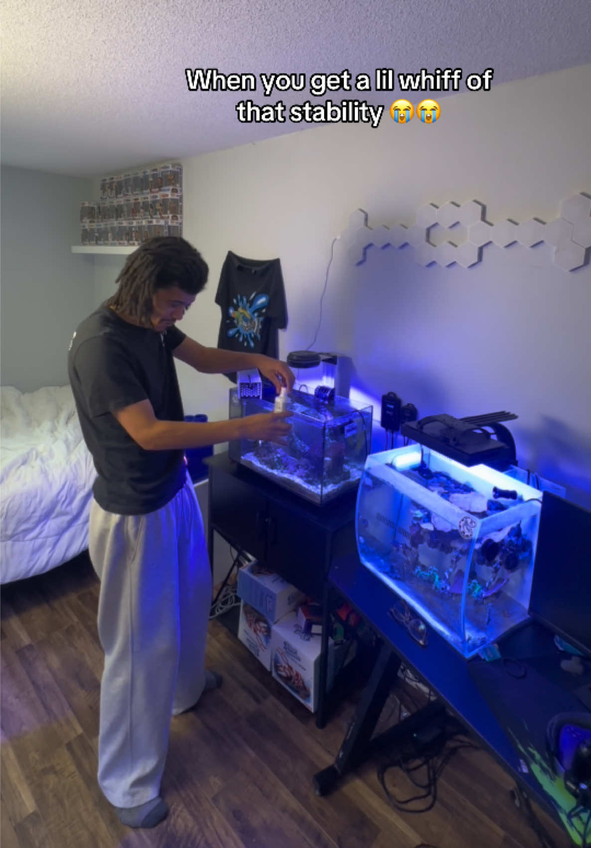 @ReefSync
