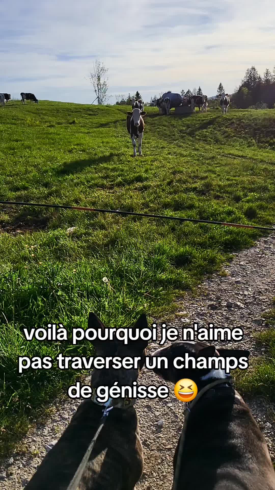 @La.petite.ferme
