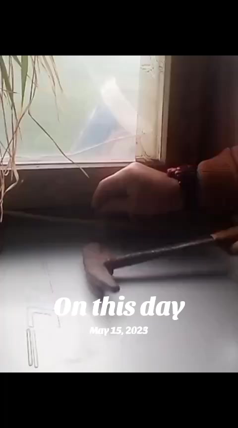 @BulmaSoft