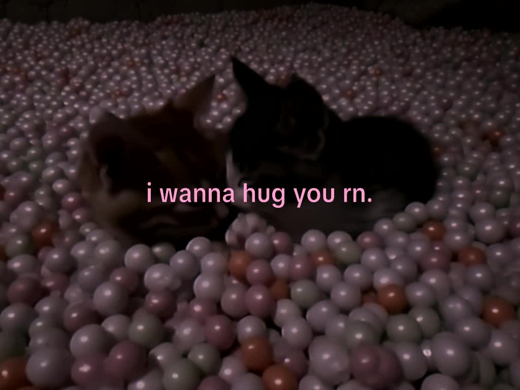 @mond