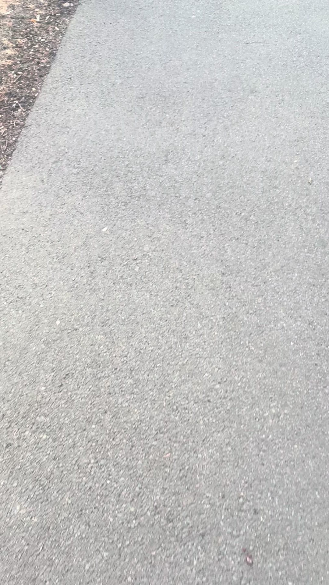@Littleturtle🐢
