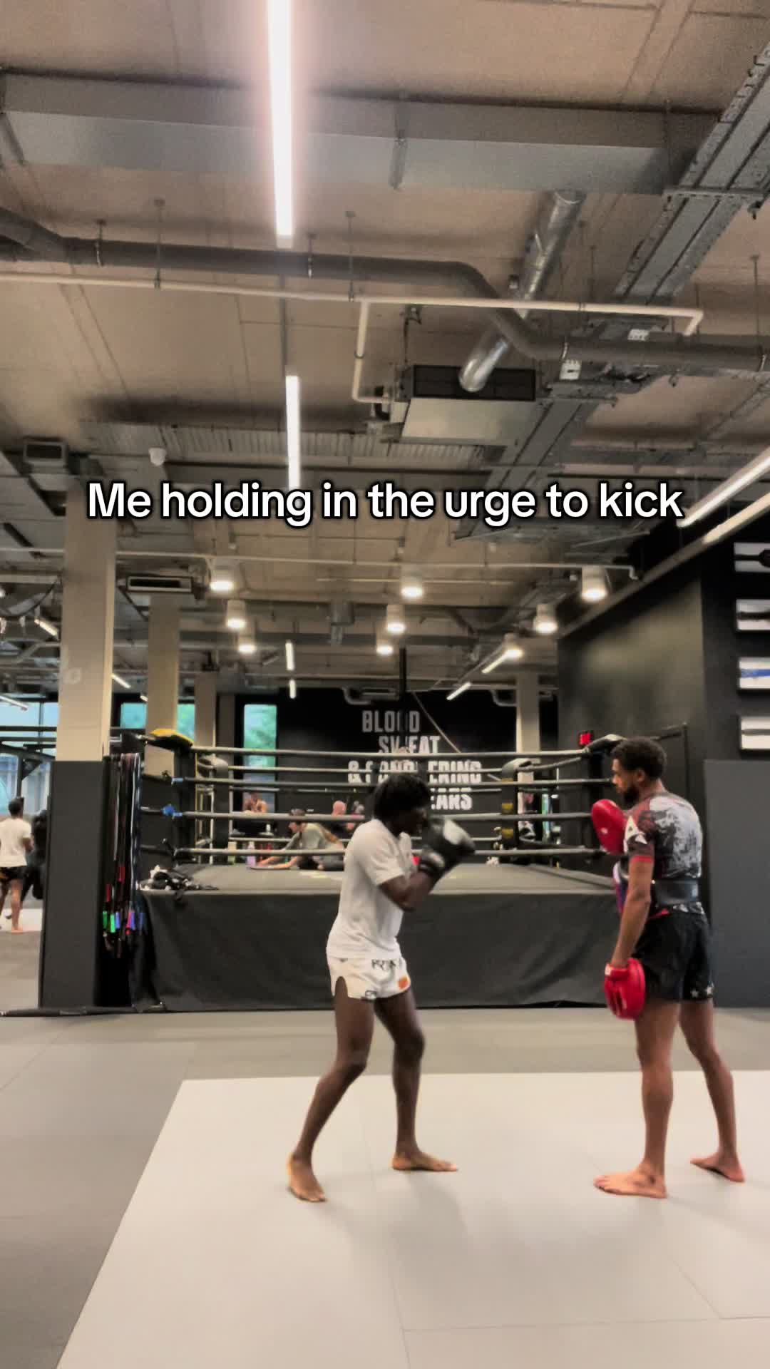 @Bfights